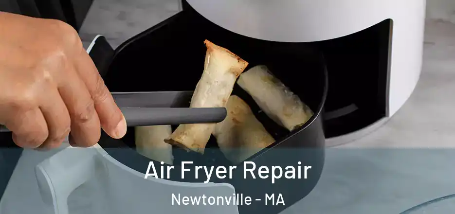 Air Fryer Repair Newtonville - MA