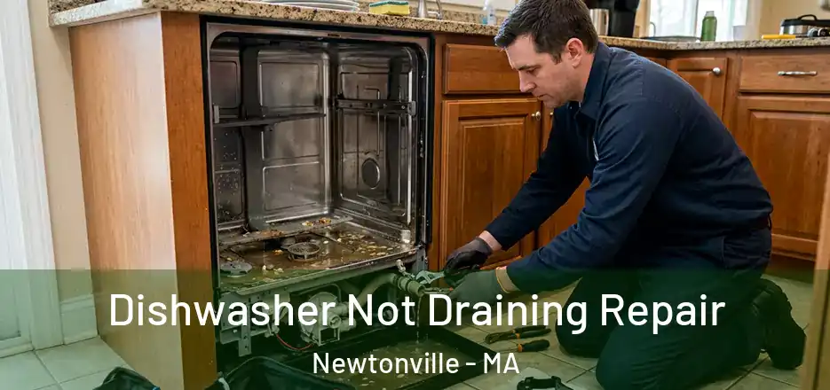  Dishwasher Not Draining Repair Newtonville - MA