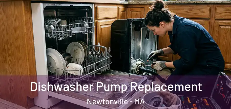 Dishwasher Pump Replacement Newtonville - MA