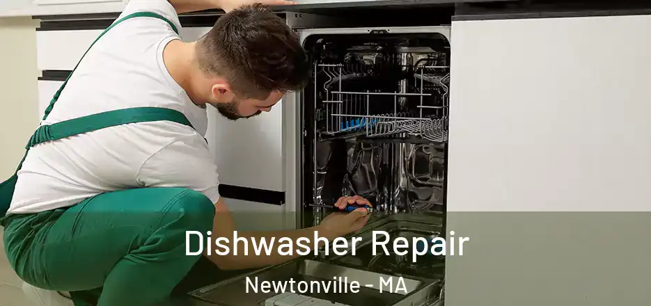Dishwasher Repair Newtonville - MA
