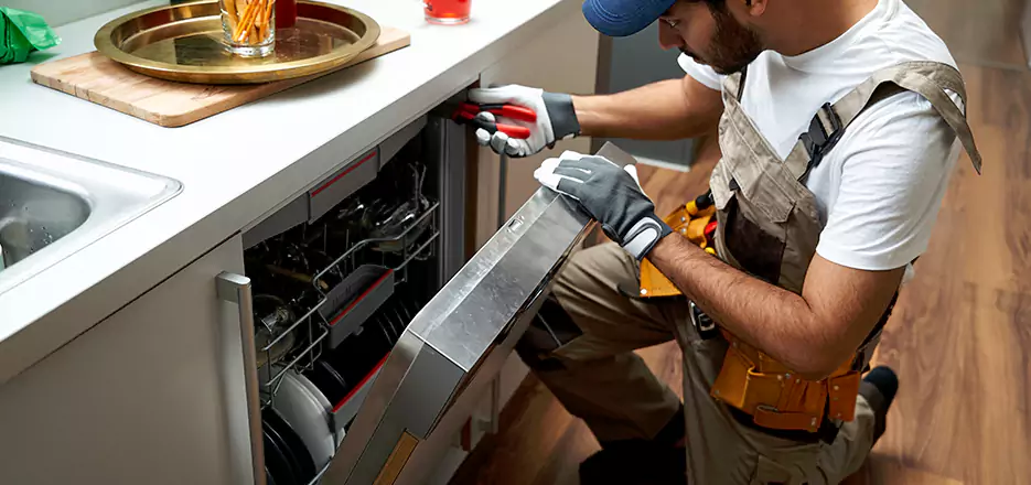 Same Day Dishwasher Not Draining Repair in Newtonville